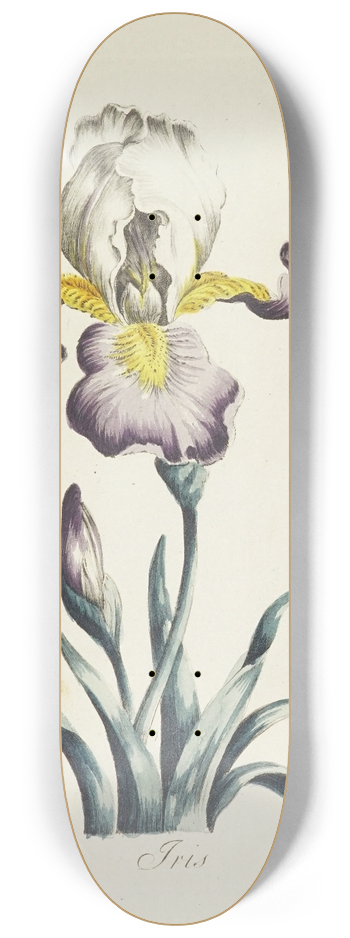 Carington Bowles - Iris 8.25 inch art skate deck