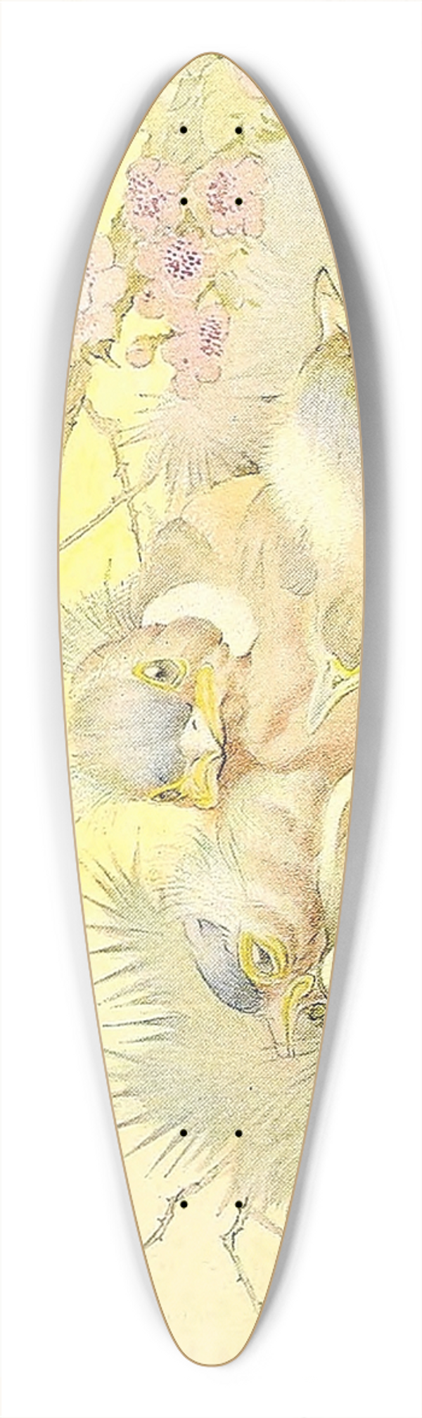Edward Julius Detmold - The Chaffinch 39.3 inch art pintail longboard deck