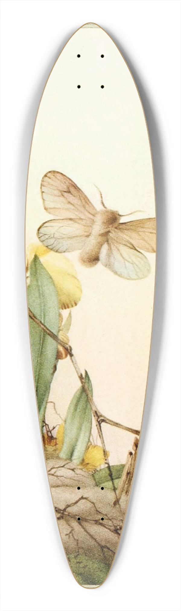 Edward Julius Detmold - The Psyches 39.3 inch art pintail longboard deck