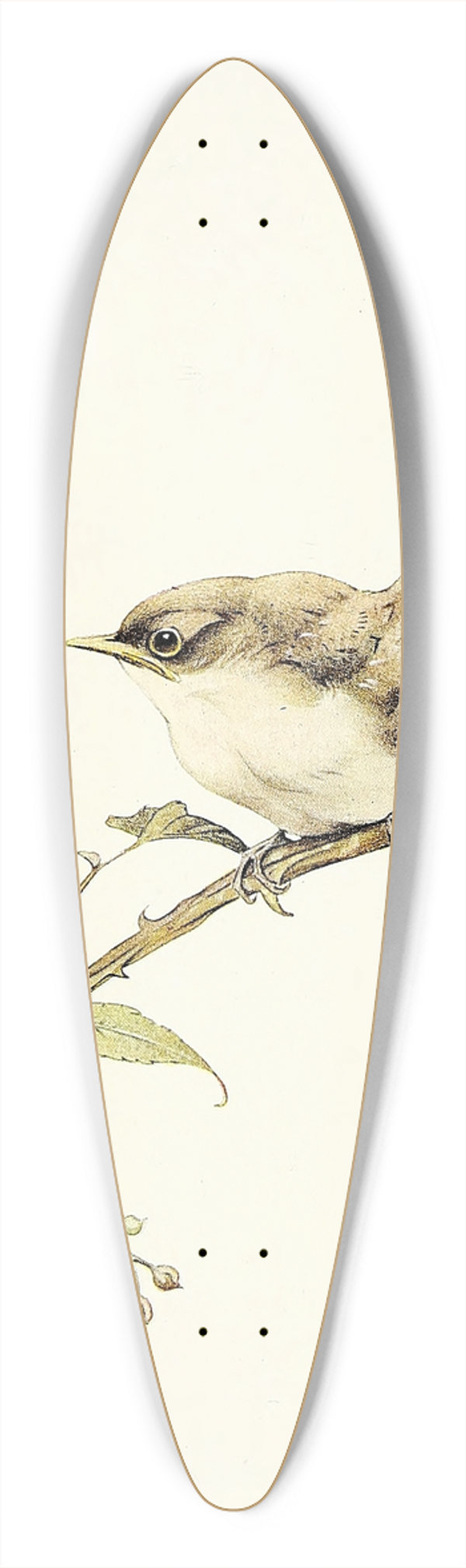 Edward Julius Detmold - The Whitethroat 39.3 inch art pintail longboard deck