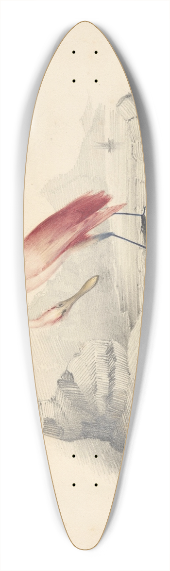 Edward Lear - A flamingo 39.3 inch art pintail longboard deck
