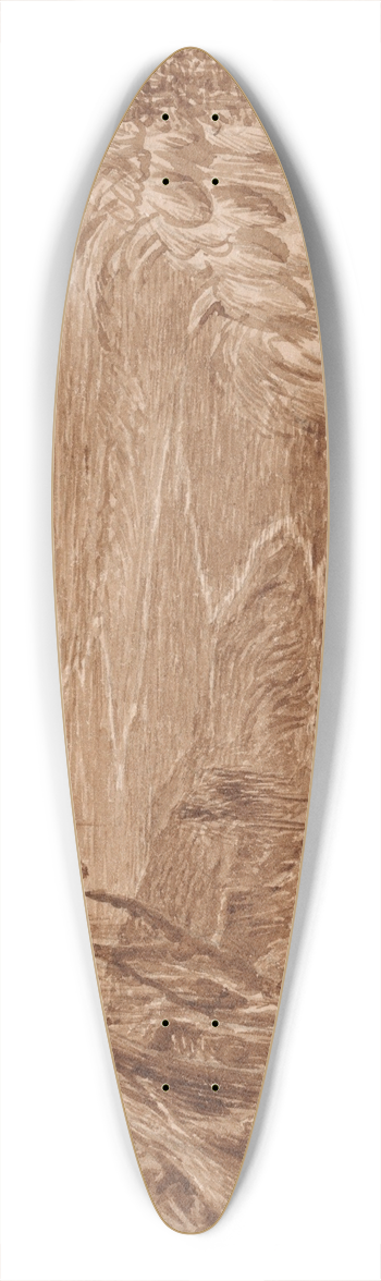 Edward Lear - Albania 39.3 inch art pintail longboard deck