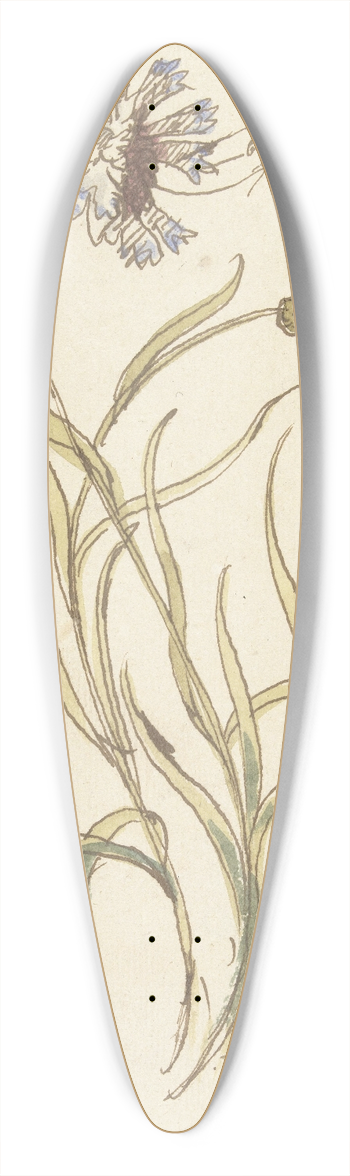 Elias van Nijmegen - Anjers 39.3 inch art pintail longboard deck