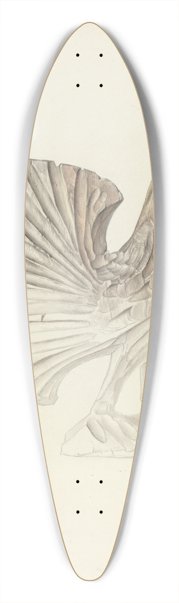 Elisabeth Fulda - Rooster 39.3 inch art pintail longboard deck