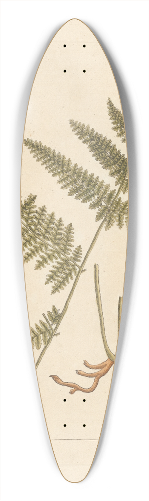 Elizabeth Blackwell - Female fearn or brakes 39.3 inch art pintail longboard deck