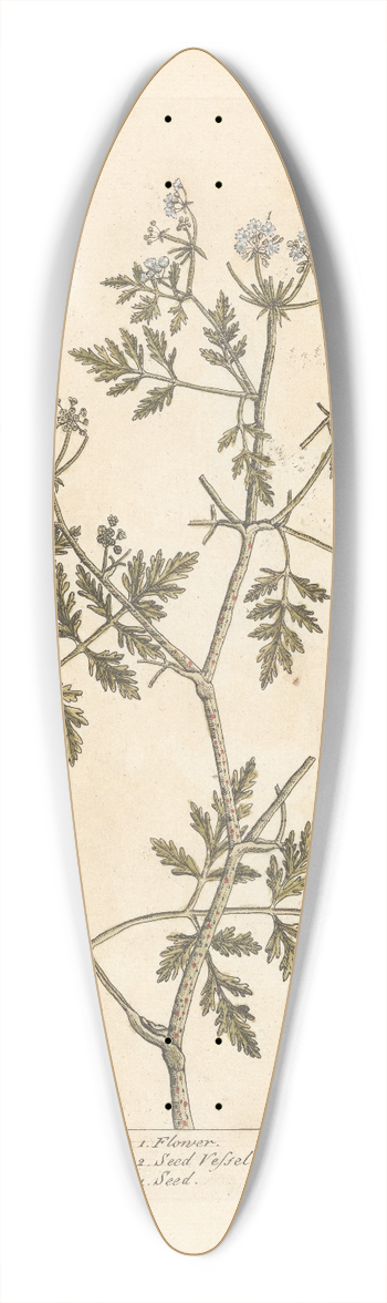 Elizabeth Blackwell - Hemlock 39.3 inch art pintail longboard deck