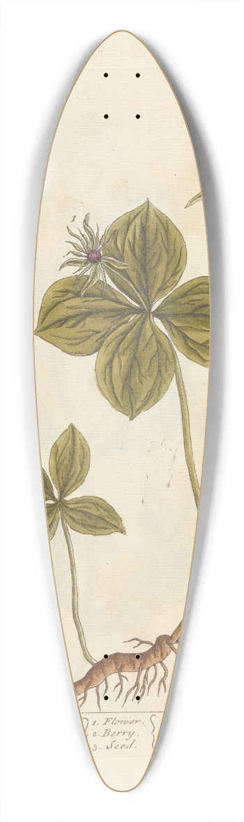 Elizabeth Blackwell - Herb Paris 39.3 inch art pintail longboard deck