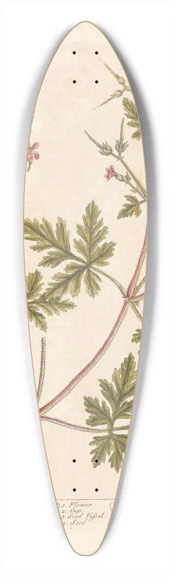 Elizabeth Blackwell - Herb Robert 39.3 inch art pintail longboard deck