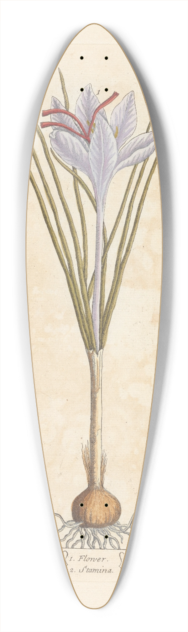 Elizabeth Blackwell - Saffron 39.3 inch art pintail longboard deck