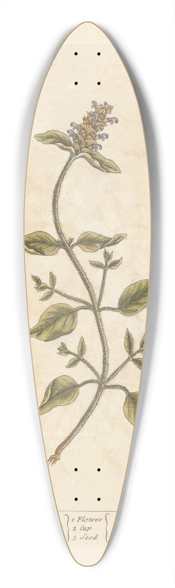 Elizabeth Blackwell - Self heal 39.3 inch art pintail longboard deck