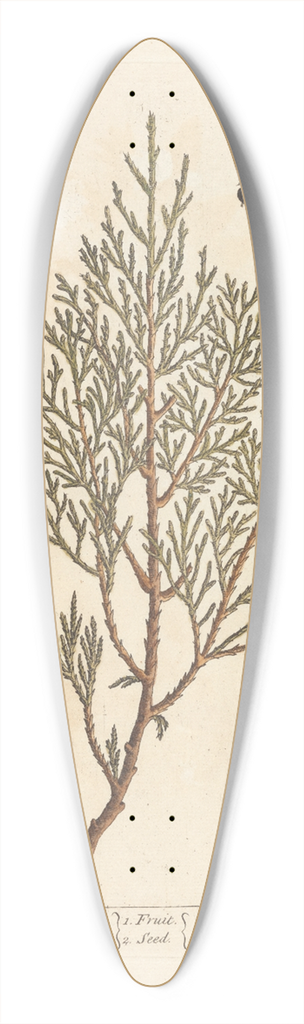Elizabeth Blackwell - The savine tree 39.3 inch art pintail longboard deck
