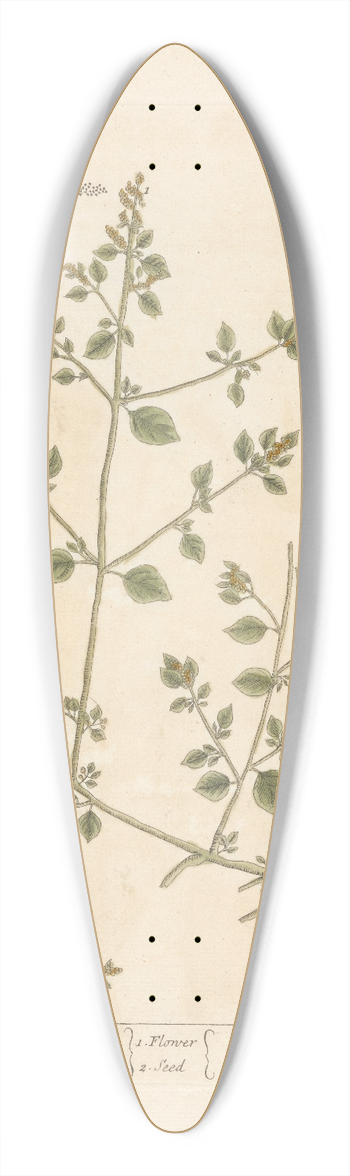 Elizabeth Blackwell - Wild stinking arrach 39.3 inch art pintail longboard deck