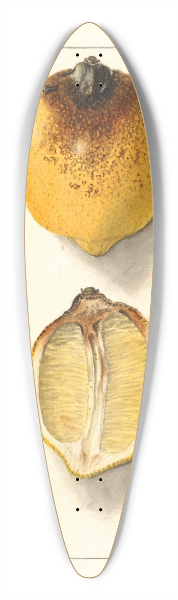 Ellen Isham Schutt - Citrus limon 39.3 inch art pintail longboard deck