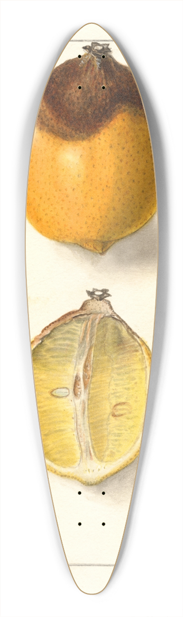 Ellen Isham Schutt - Citrus limon 39.3 inch art pintail longboard deck