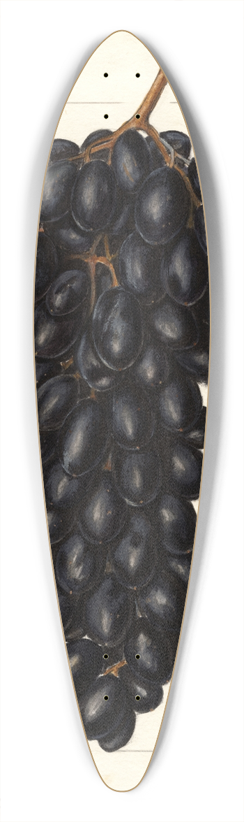 Ellen Isham Schutt - Vitis: Askarie 39.3 inch art pintail longboard deck