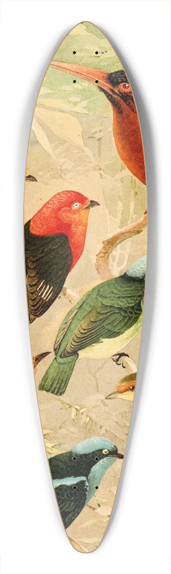 Emil August Gldi - Arirambas da matta virgem, Uir-pur diversos, Sahy 39.3 inch art pintail longboard deck