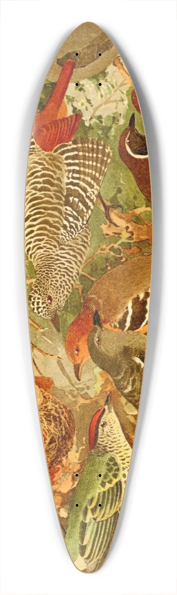 Emil August Gldi - Chocas, Mbatars, Papa-formigas, Vira-folhas 39.3 inch art pintail longboard deck
