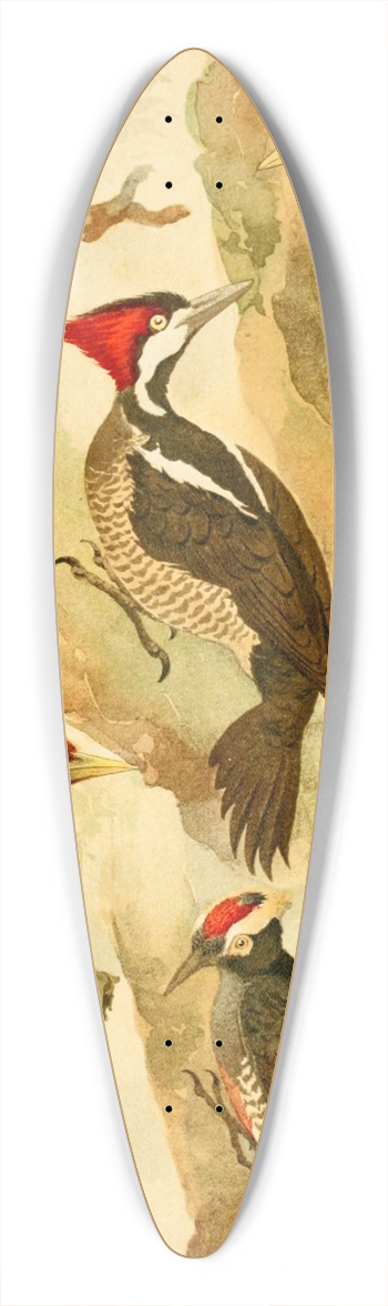 Emil August Gldi - Picapus, Jpec 39.3 inch art pintail longboard deck