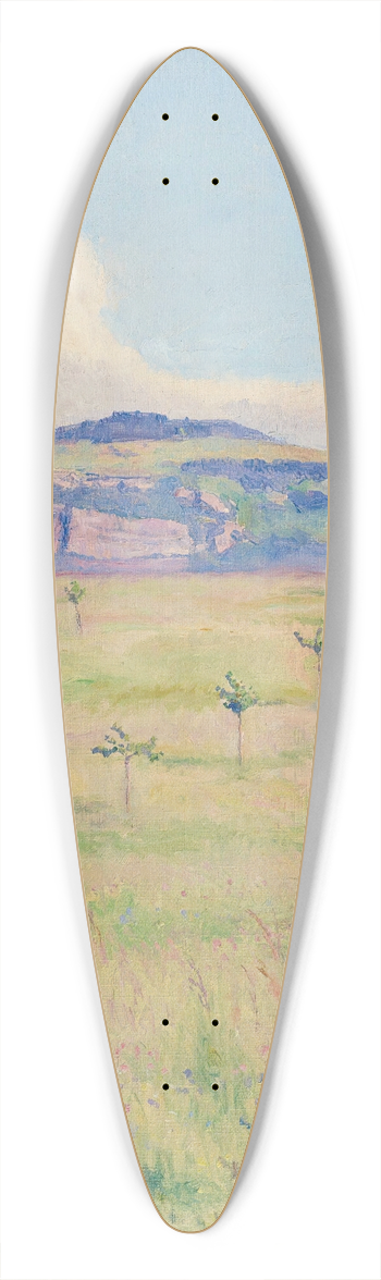 Emile Patru - Salve 39.3 inch art pintail longboard deck