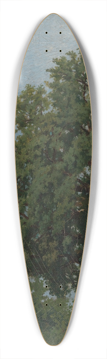 Emil Lugo - Eichenkronen 39.3 inch art pintail longboard deck