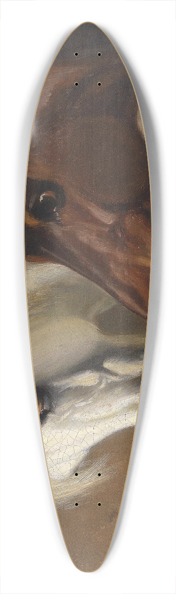Emil Volkers - Zwei Pferdekpfe 39.3 inch art pintail longboard deck