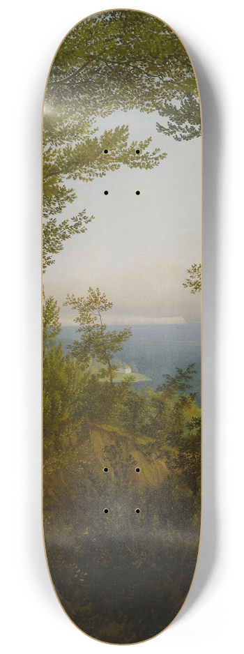 Carl Hummel - Rgen 8.25 inch art skate deck