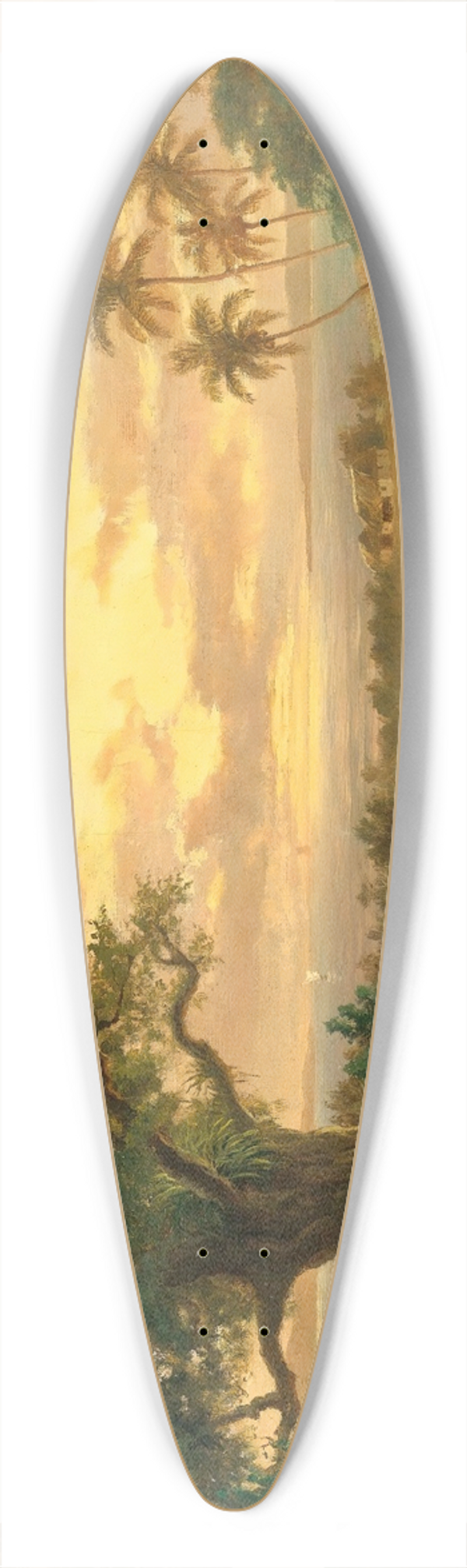 Esteban Chartrand - Atardecer 39.3 inch art pintail longboard deck