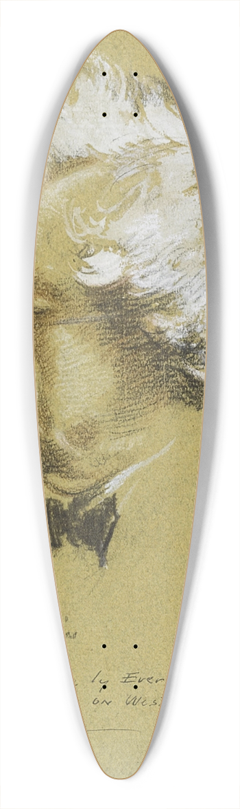 Everett Shinn - Mark Twain 39.3 inch art pintail longboard deck