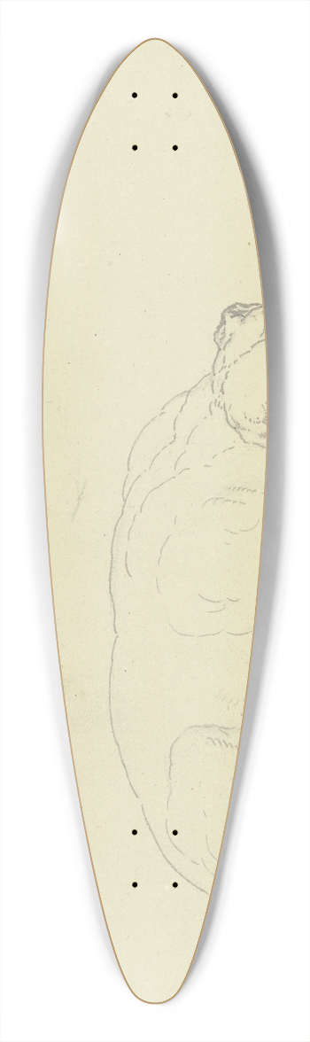 Ferdinand Fellner - Sleeping dog 2 39.3 inch art pintail longboard deck
