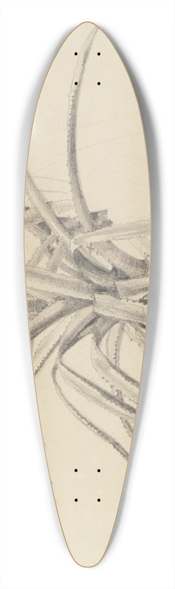 Ferdinand Keller - Kaktus-Studie 39.3 inch art pintail longboard deck