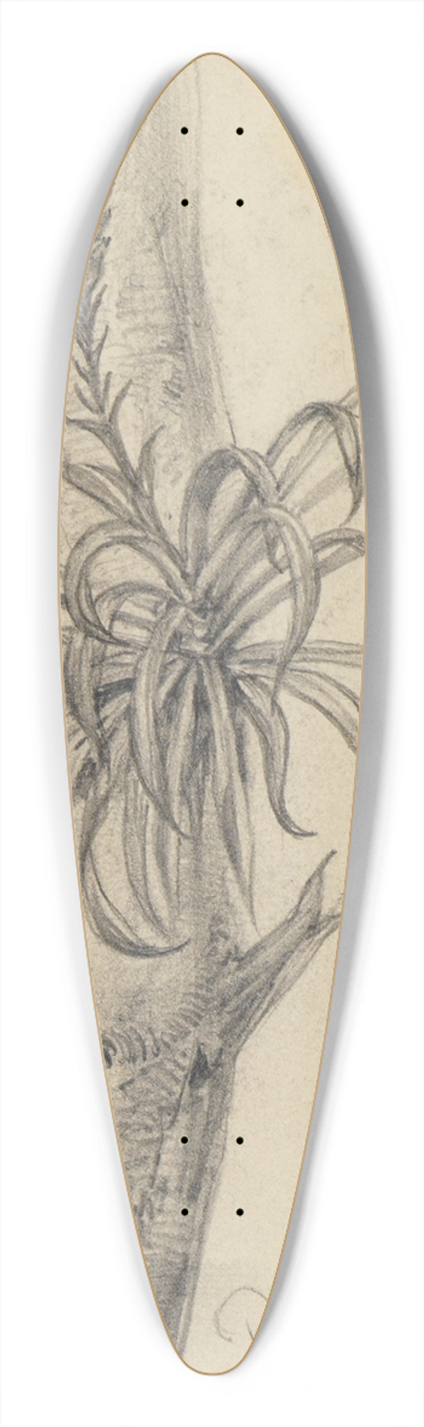 Ferdinand Keller - Pflanzenstudie am Ast II 39.3 inch art pintail longboard deck