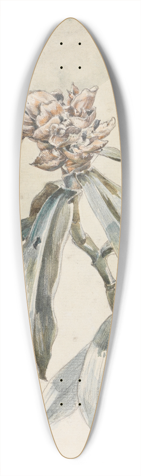 Ferdinand Keller - Pflanzenstudie 39.3 inch art pintail longboard deck