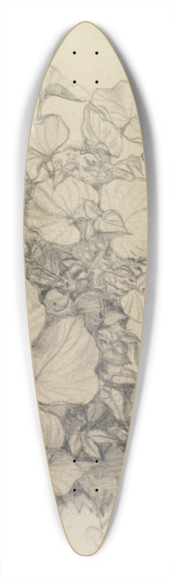 Ferdinand Keller - Pflanzenstudie XI 39.3 inch art pintail longboard deck