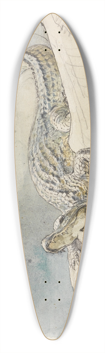 Ferdinand Keller - Studie eines Alligators 39.3 inch art pintail longboard deck
