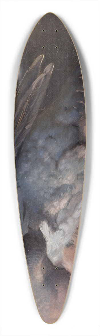 Ferdinand von Wright - Study of the sleeping wood pigeon 39.3 inch art pintail longboard deck