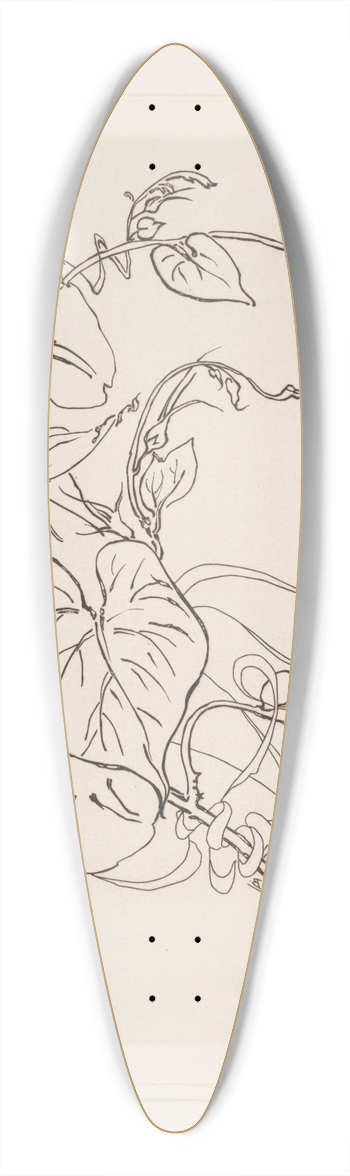 Flix Bracquemond - Assiette (volubilis). 39.3 inch art pintail longboard deck