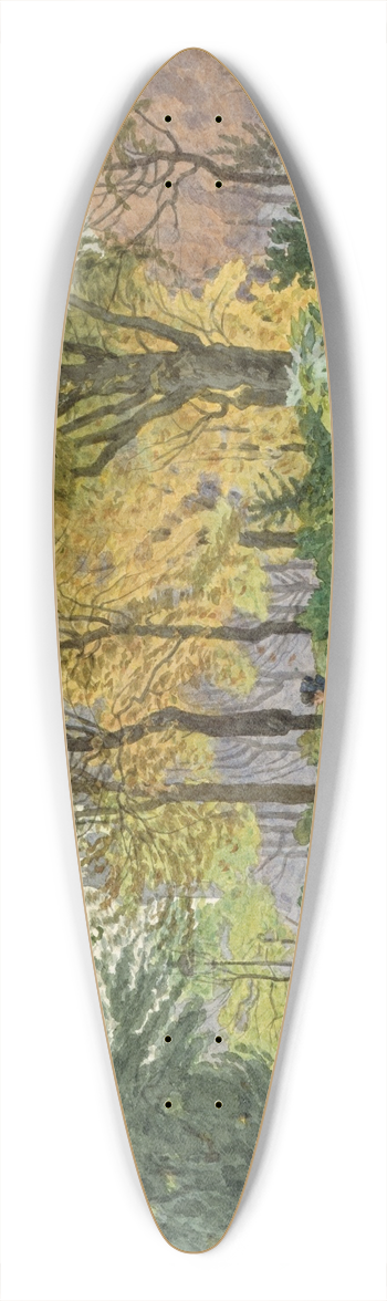 Flix Brard - Square de la mairie du XIVme arrondissement 39.3 inch art pintail longboard deck