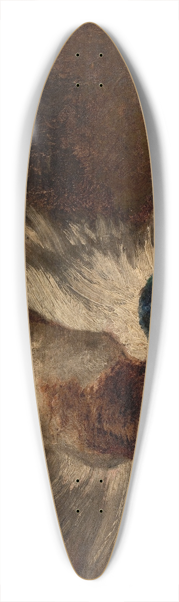 Flix Ziem - Le canard 39.3 inch art pintail longboard deck