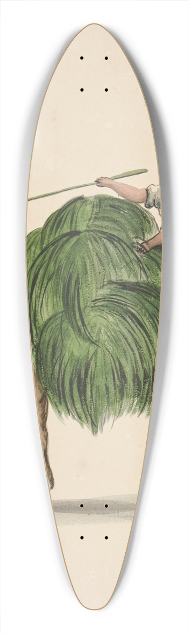 Francisco Fierro - Indian Girl Returning from the Fields 39.3 inch art pintail longboard deck