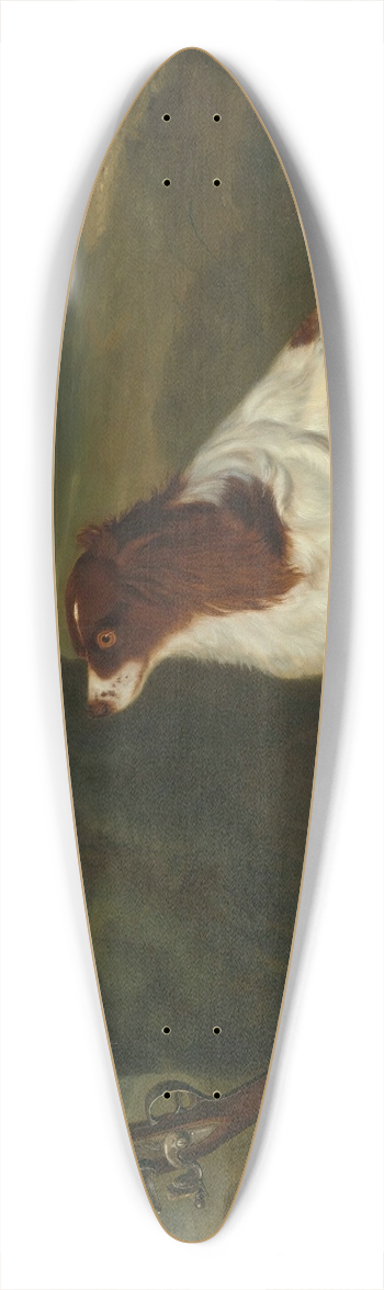 Francis Sartorius - A Spaniel And A Flintlock Shotgun In A Landscape 39.3 inch art pintail longboard deck