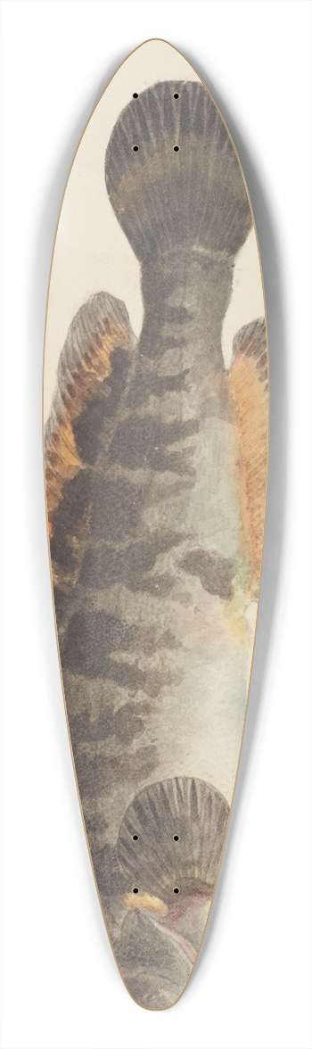 Frank Edward Clarke - Bladefish 39.3 inch art pintail longboard deck