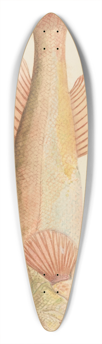 Frank Edward Clarke - Unknown (Tas) 39.3 inch art pintail longboard deck