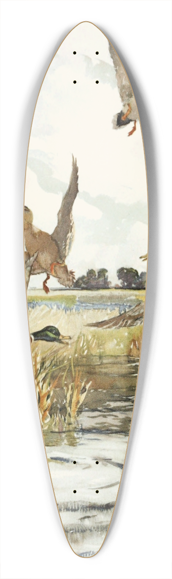 Frank Weston Benson  - Rising Mallard 39.3 inch art pintail longboard deck