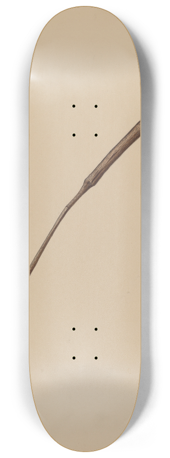 Aaron Fastovsky - Churn 8.25 inch art skate deck