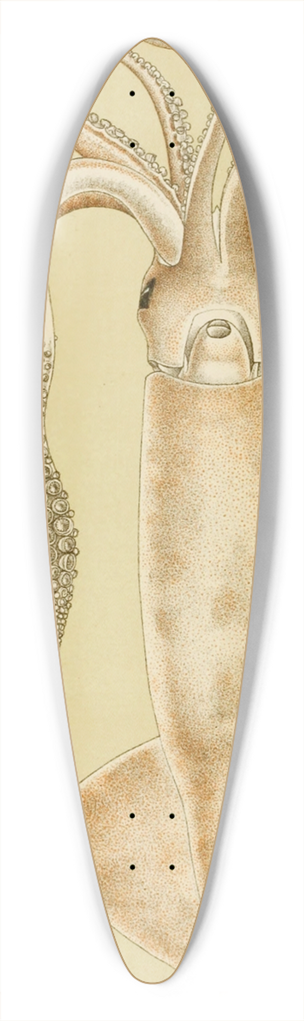Frederick McCoy - Mollusca I 39.3 inch art pintail longboard deck