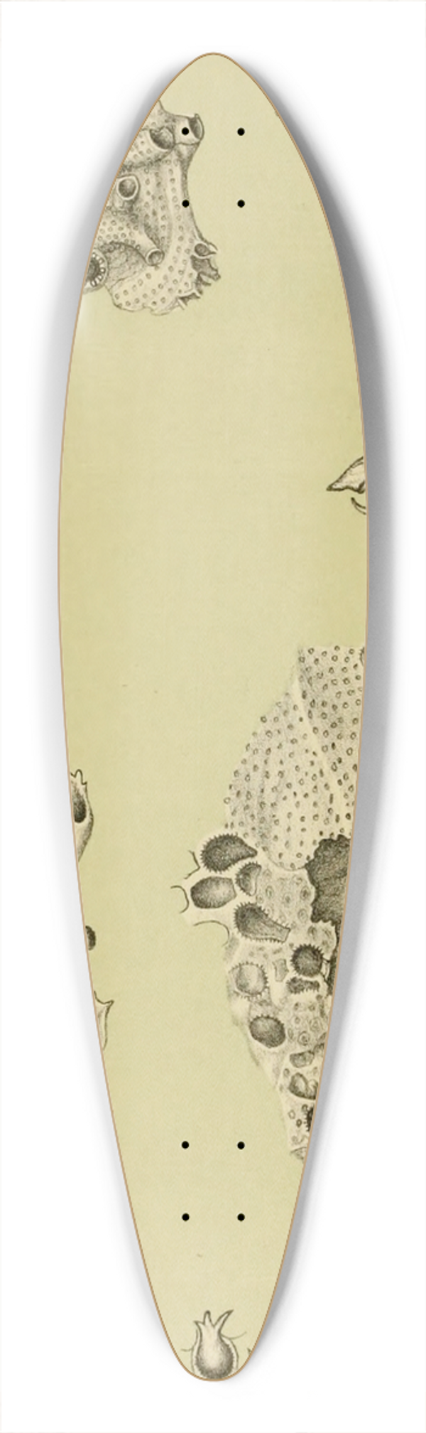 Frederick McCoy - Polyzoa IX 39.3 inch art pintail longboard deck