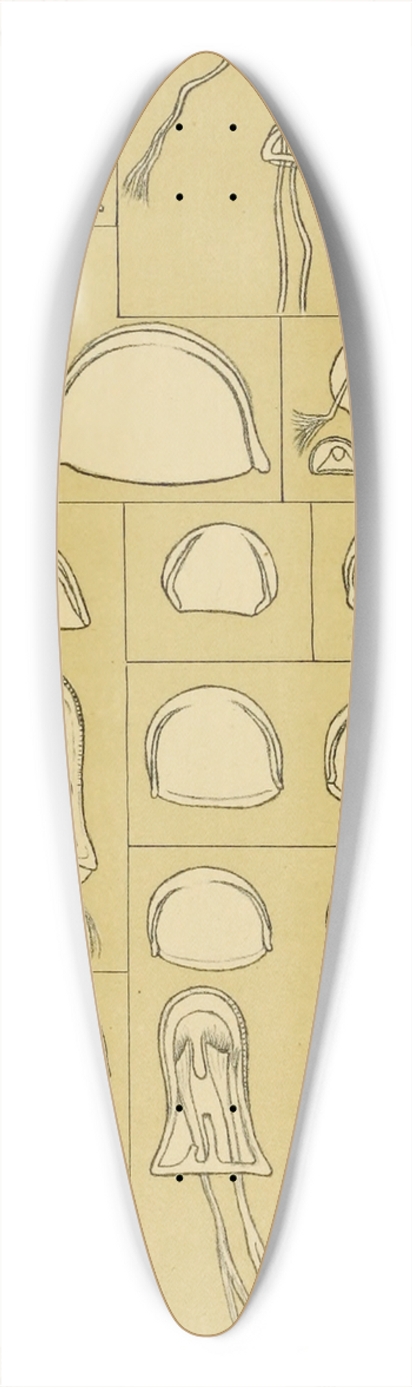 Frederick McCoy - Polyzoa VII 39.3 inch art pintail longboard deck