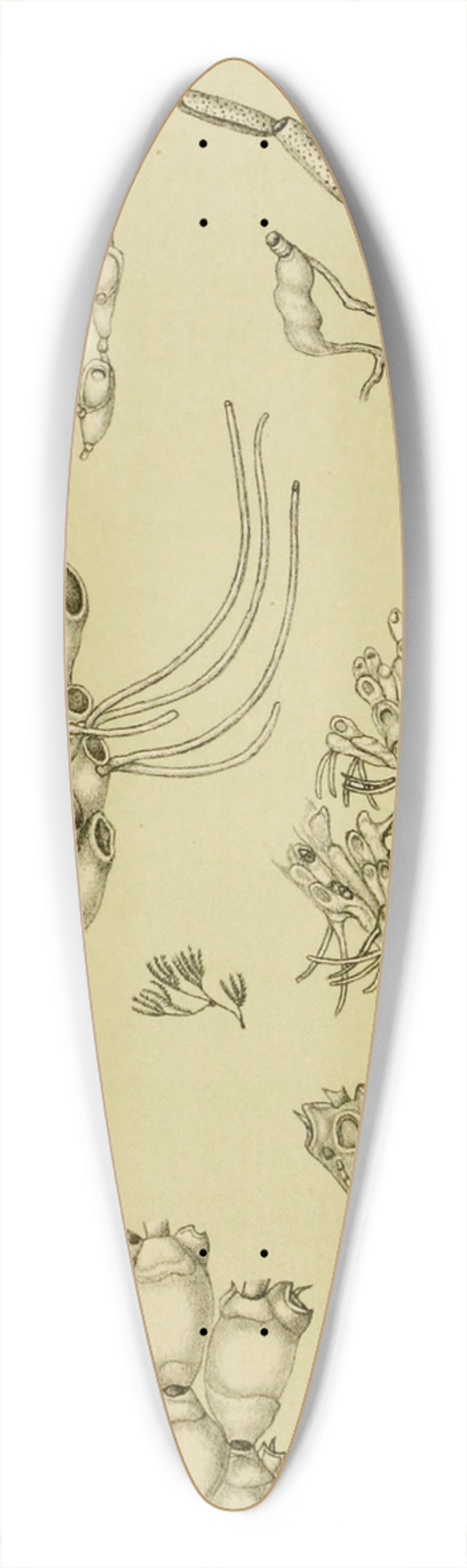 Frederick McCoy - Polyzoa XI 39.3 inch art pintail longboard deck