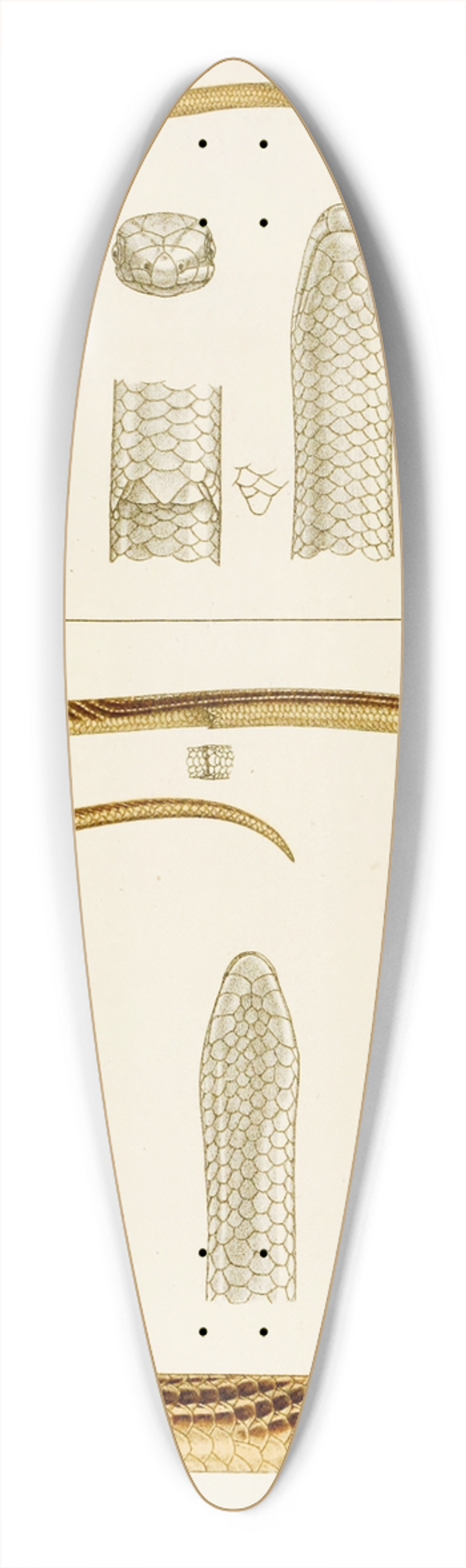 Frederick McCoy - Reptiles IV 39.3 inch art pintail longboard deck