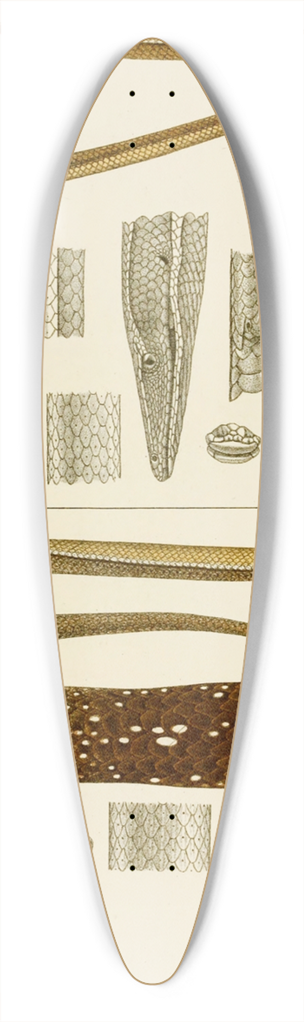 Frederick McCoy - Reptiles V 39.3 inch art pintail longboard deck